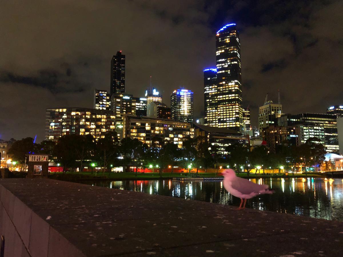 Melbourne River Views Exteriér fotografie